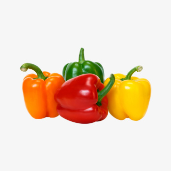 زيتون جمليك