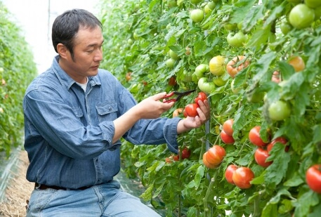 Typography in Design Systems