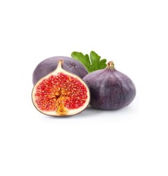 copy of قهوة الفول